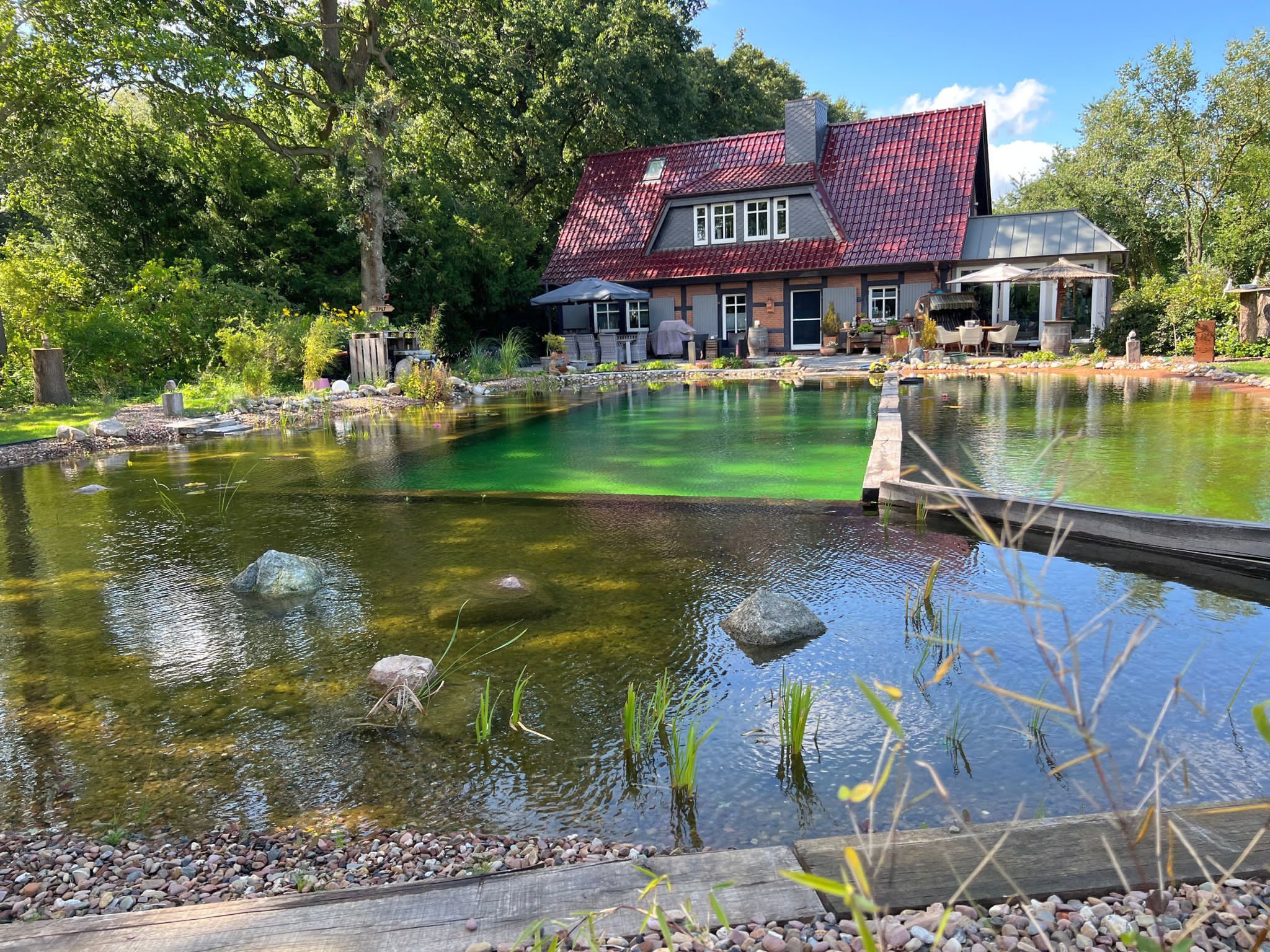 Schwimmteich_patina_Folie